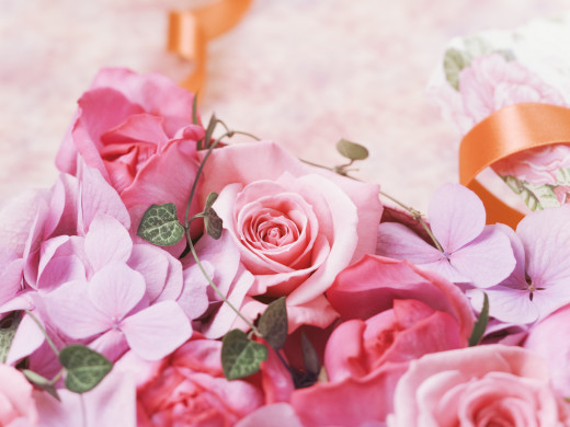 397954 (a): :2560x1920